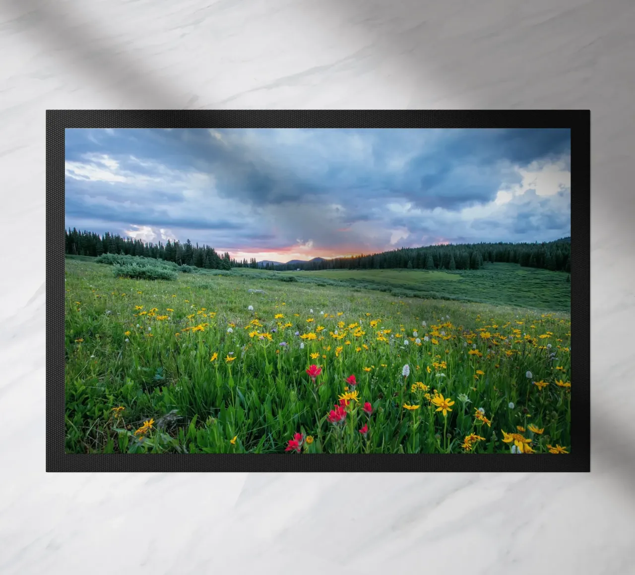 open landscape zerbino da cofa home