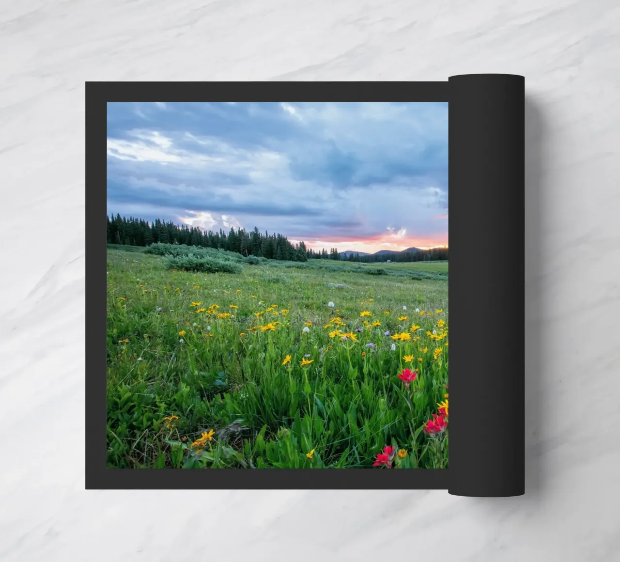 open landscape zerbino da cofa home