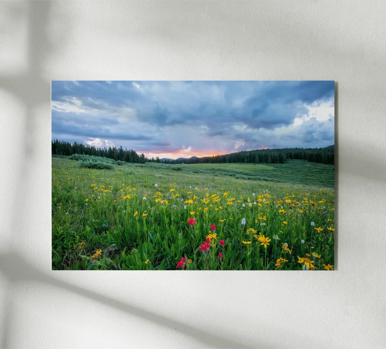 open landscape plexiglass da cofa home