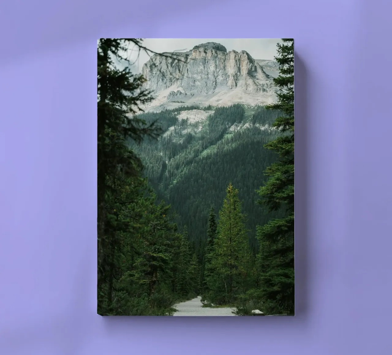 evergreens scenery notebook by cofa home