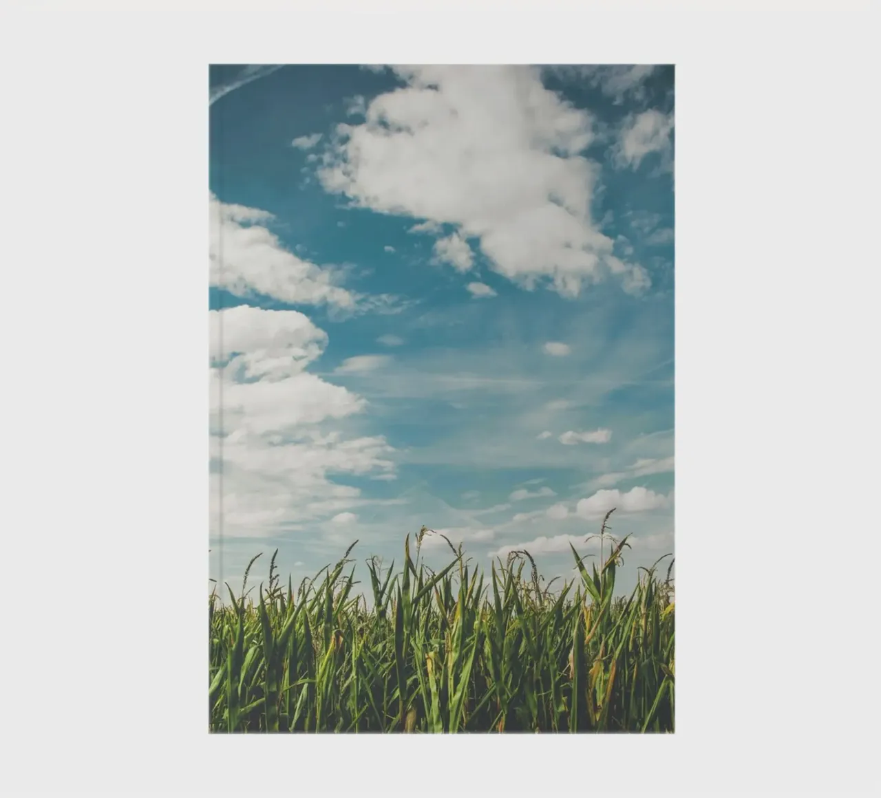 skyline horizon green foliage notebook by Horsire