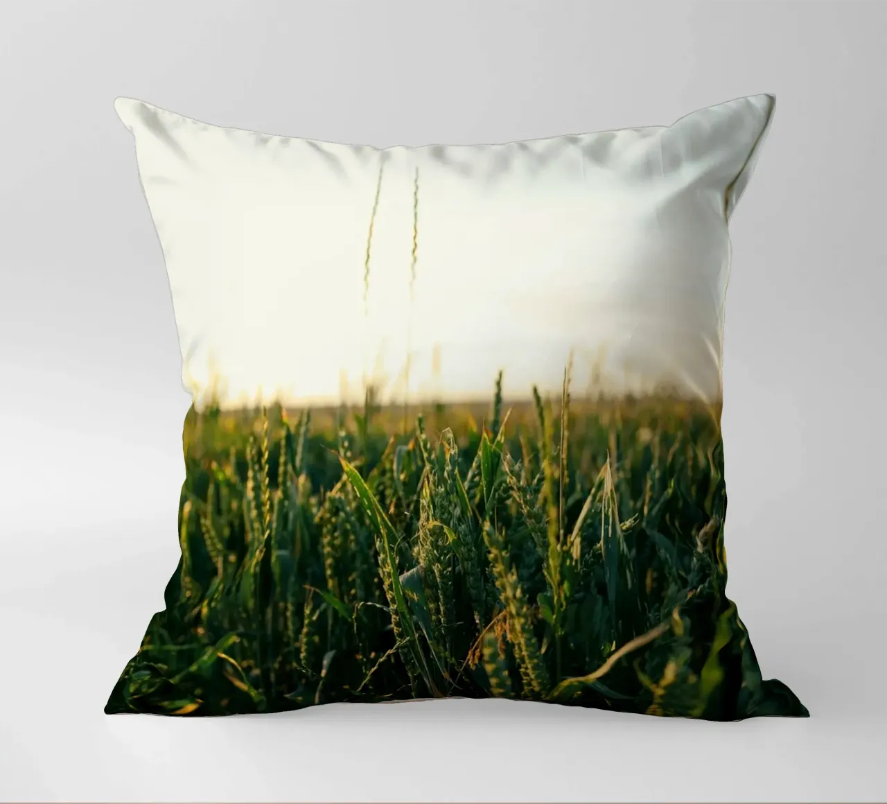 agriculture nature cuscino da Horsire