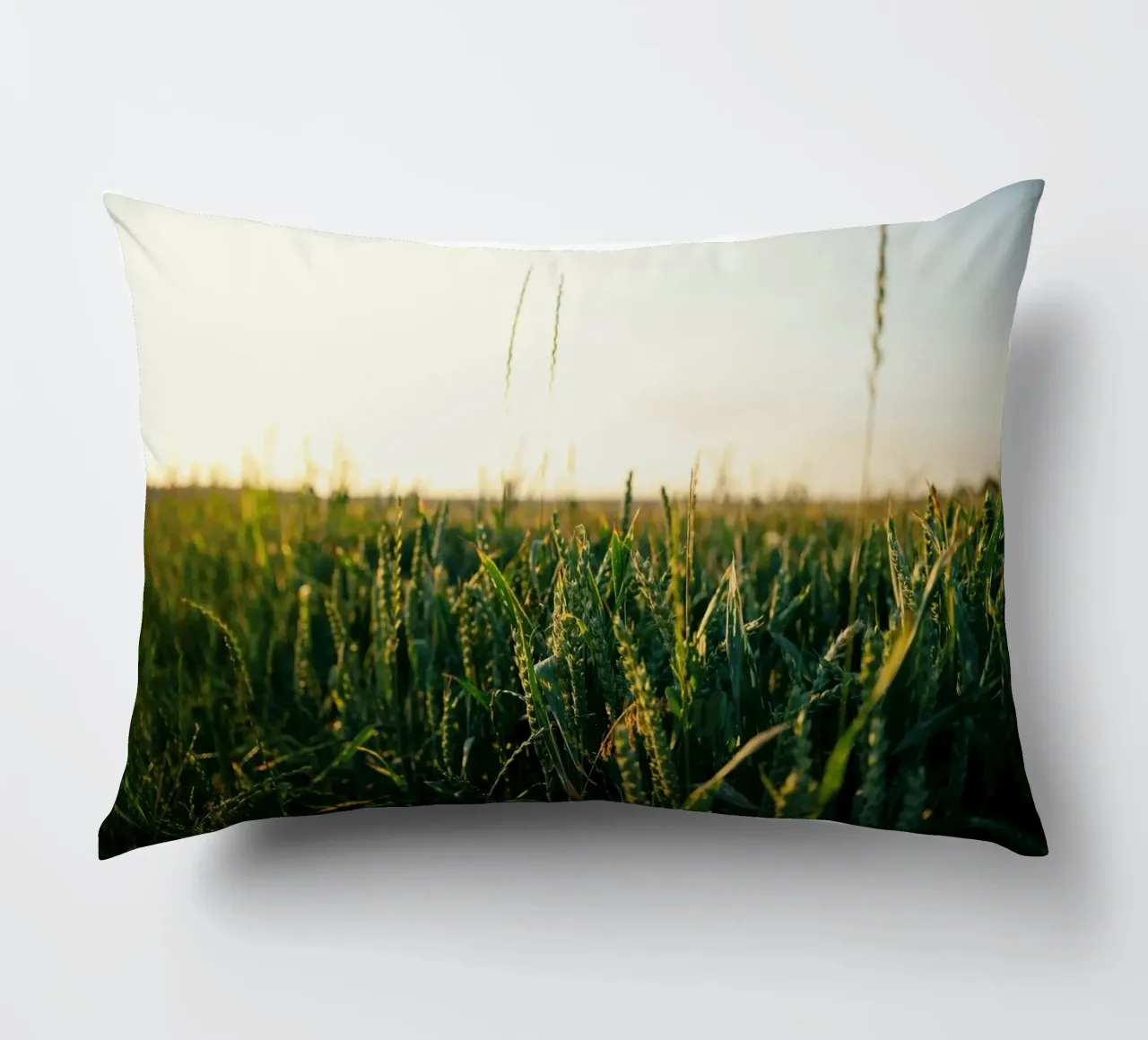 agriculture nature cuscino da Horsire