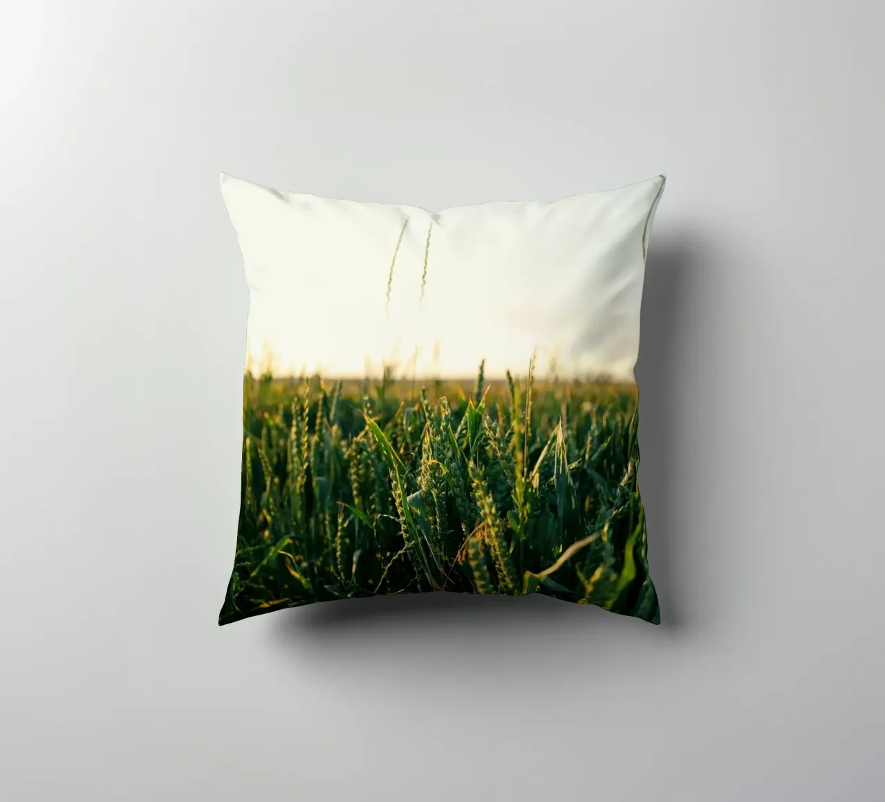 agriculture nature cuscino da Horsire
