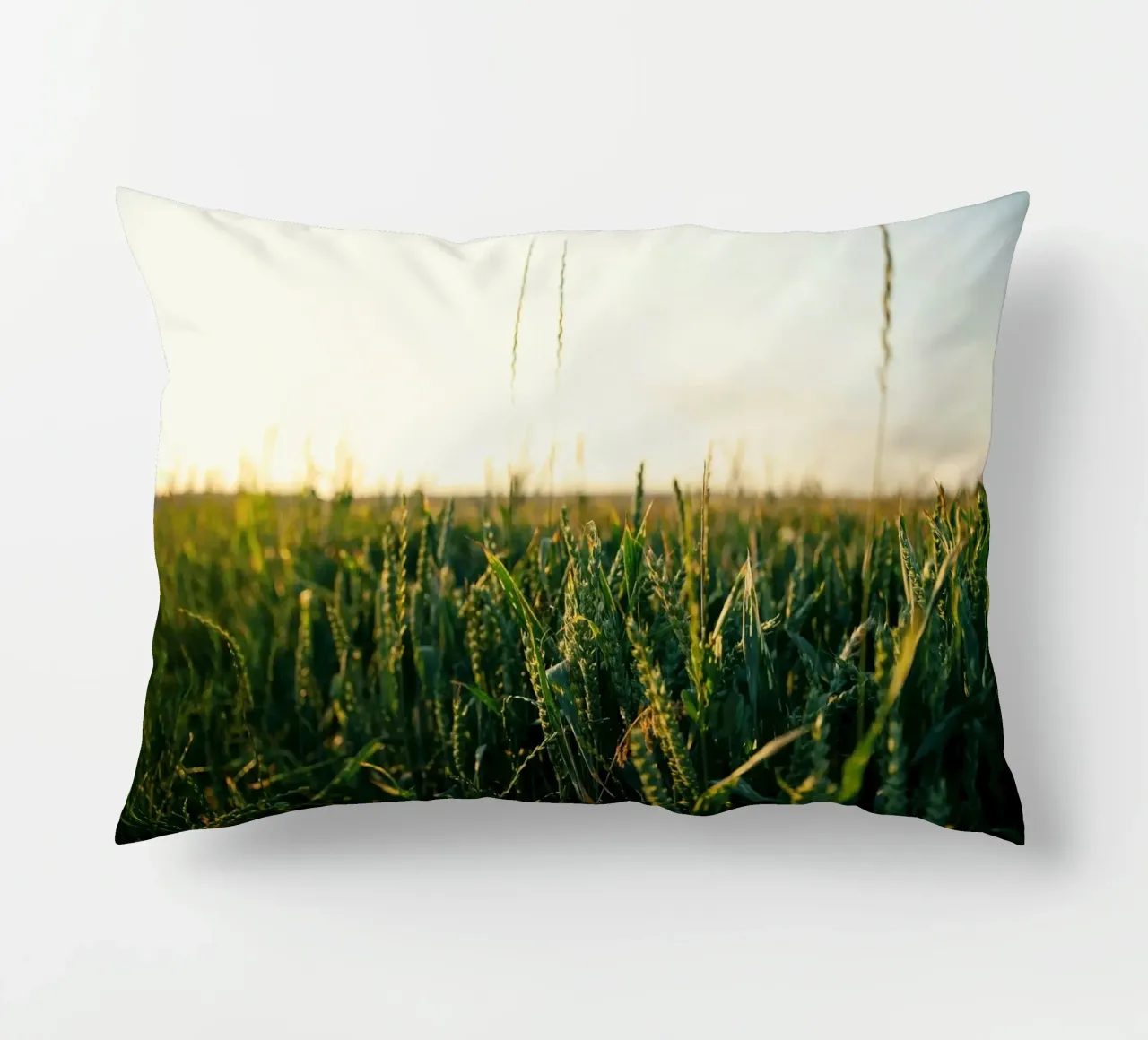 agriculture nature cuscino da Horsire