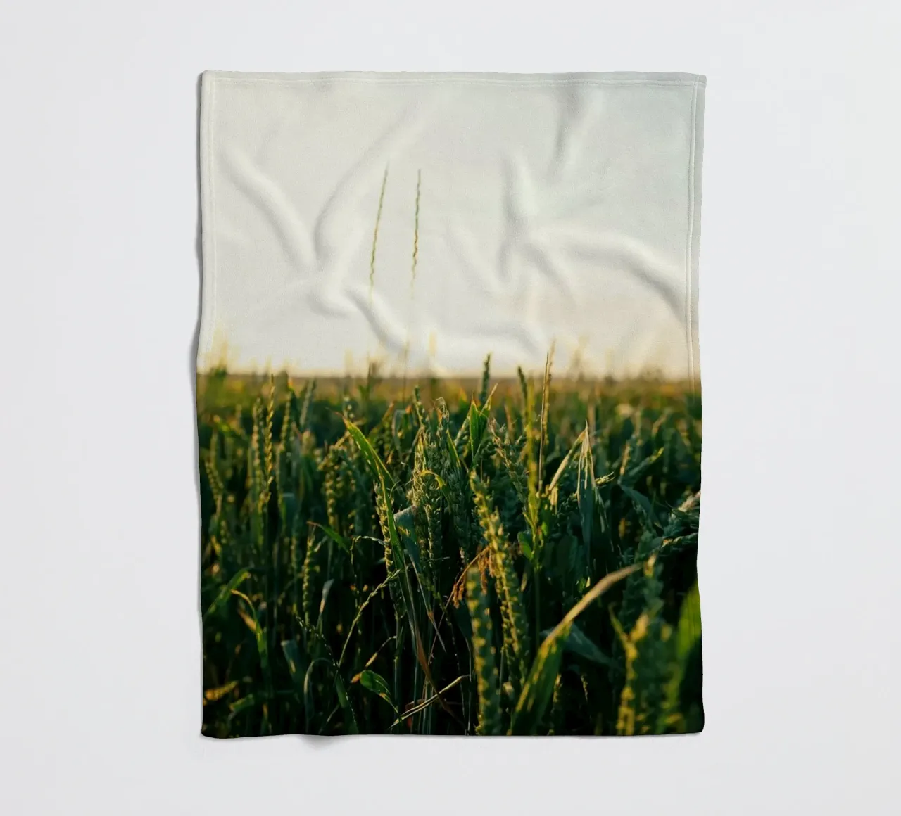 agriculture nature coperta in pile da Horsire