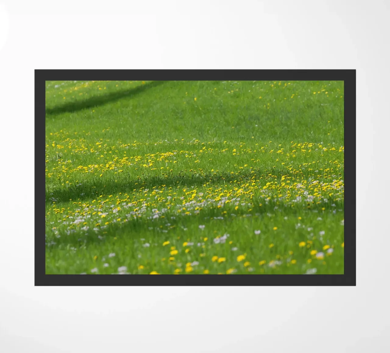 breeze outdoors doormat by Horsire