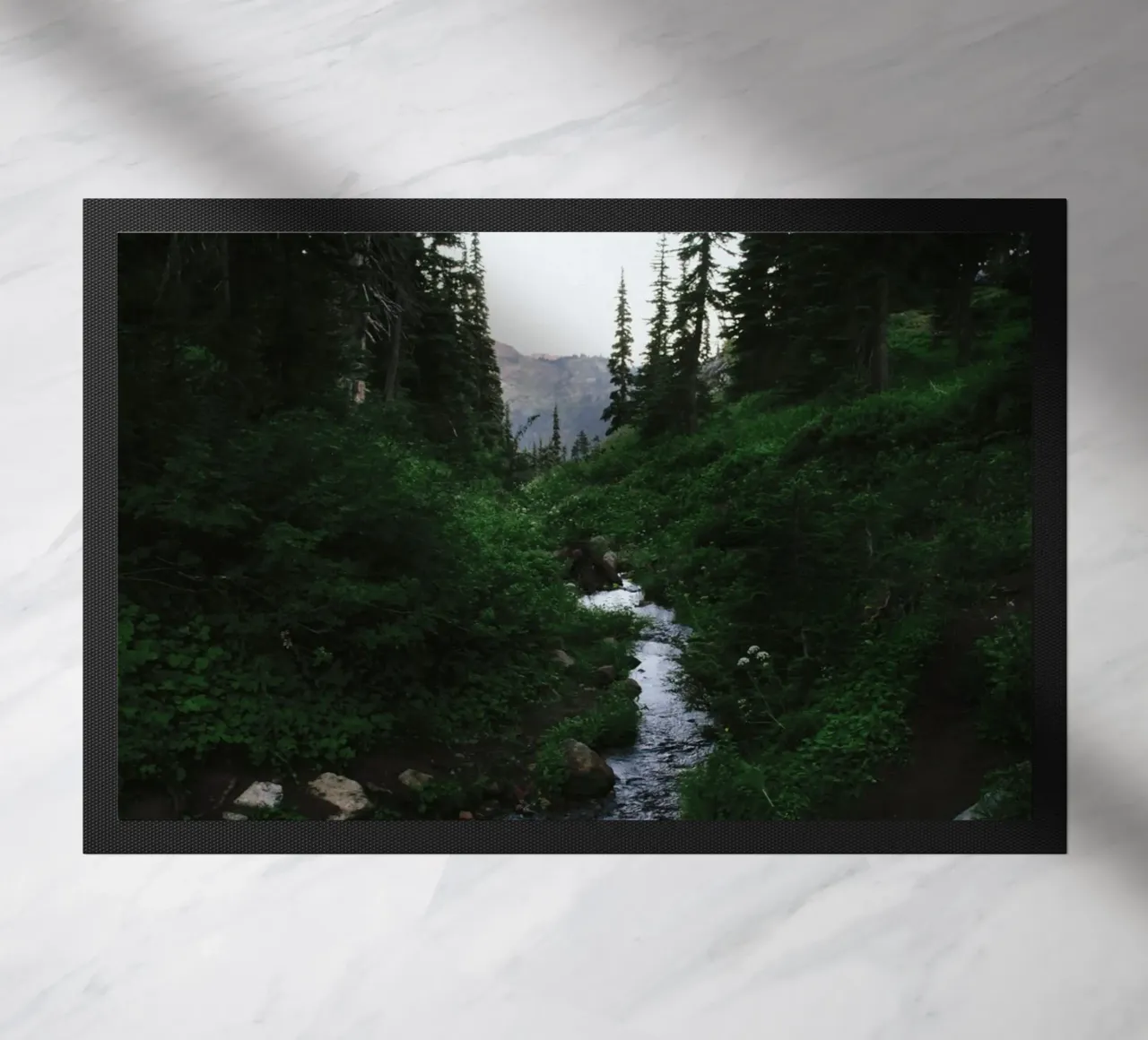 vegetation wilderness zerbino da cofa home
