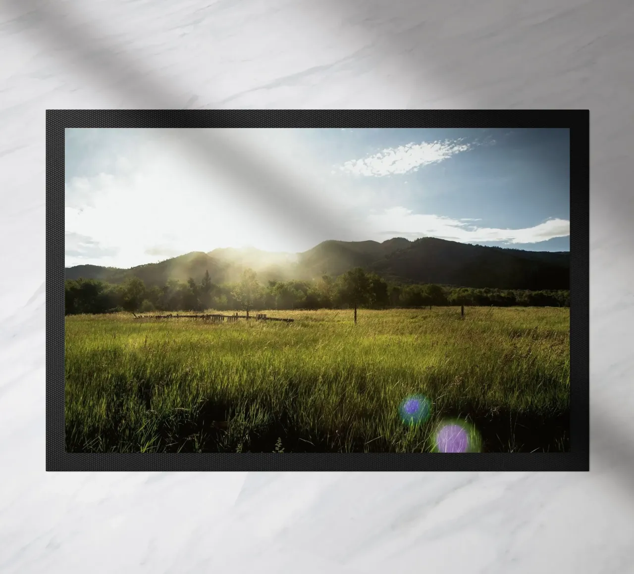 daytime meadow nature scene zerbino da cofa home
