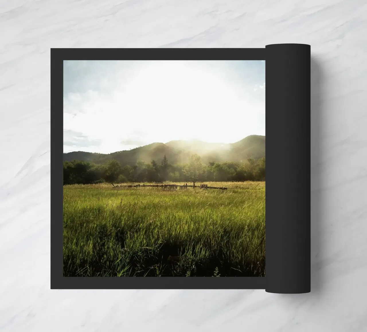 daytime meadow nature scene zerbino da cofa home