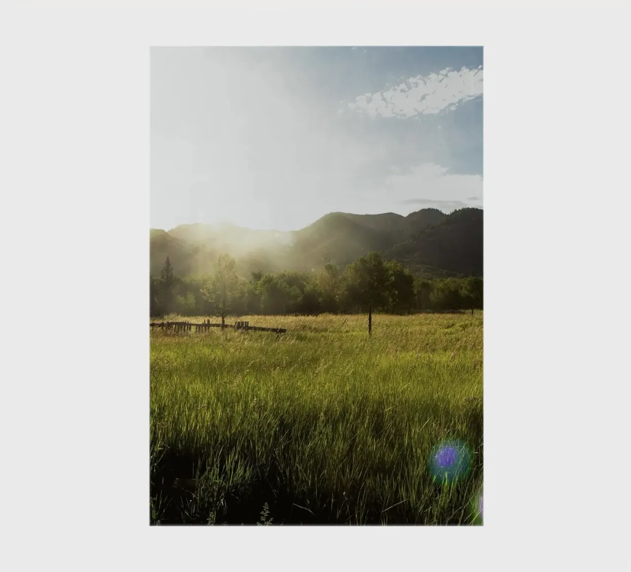 daytime meadow nature scene notebook by cofa home