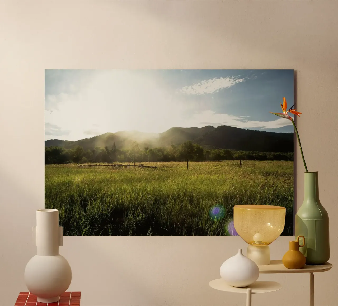 daytime meadow nature scene alluminio dibond da cofa home