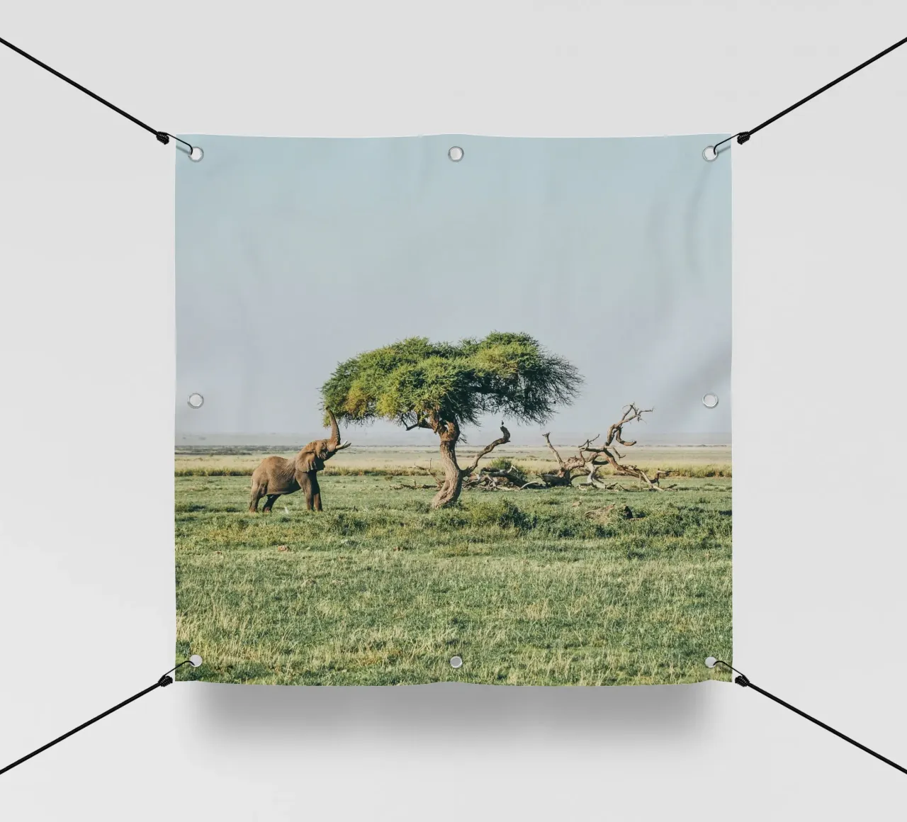 open field greenery telo in pvc da Horsire