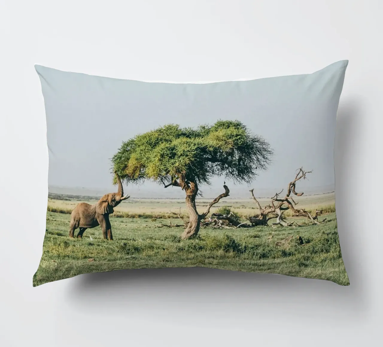 open field greenery cuscino da Horsire