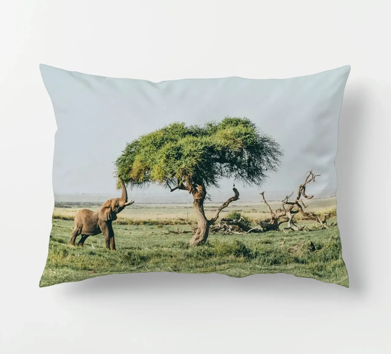 open field greenery cuscino da Horsire