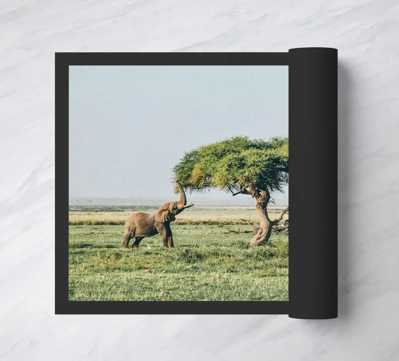 open field greenery zerbino da Horsire
