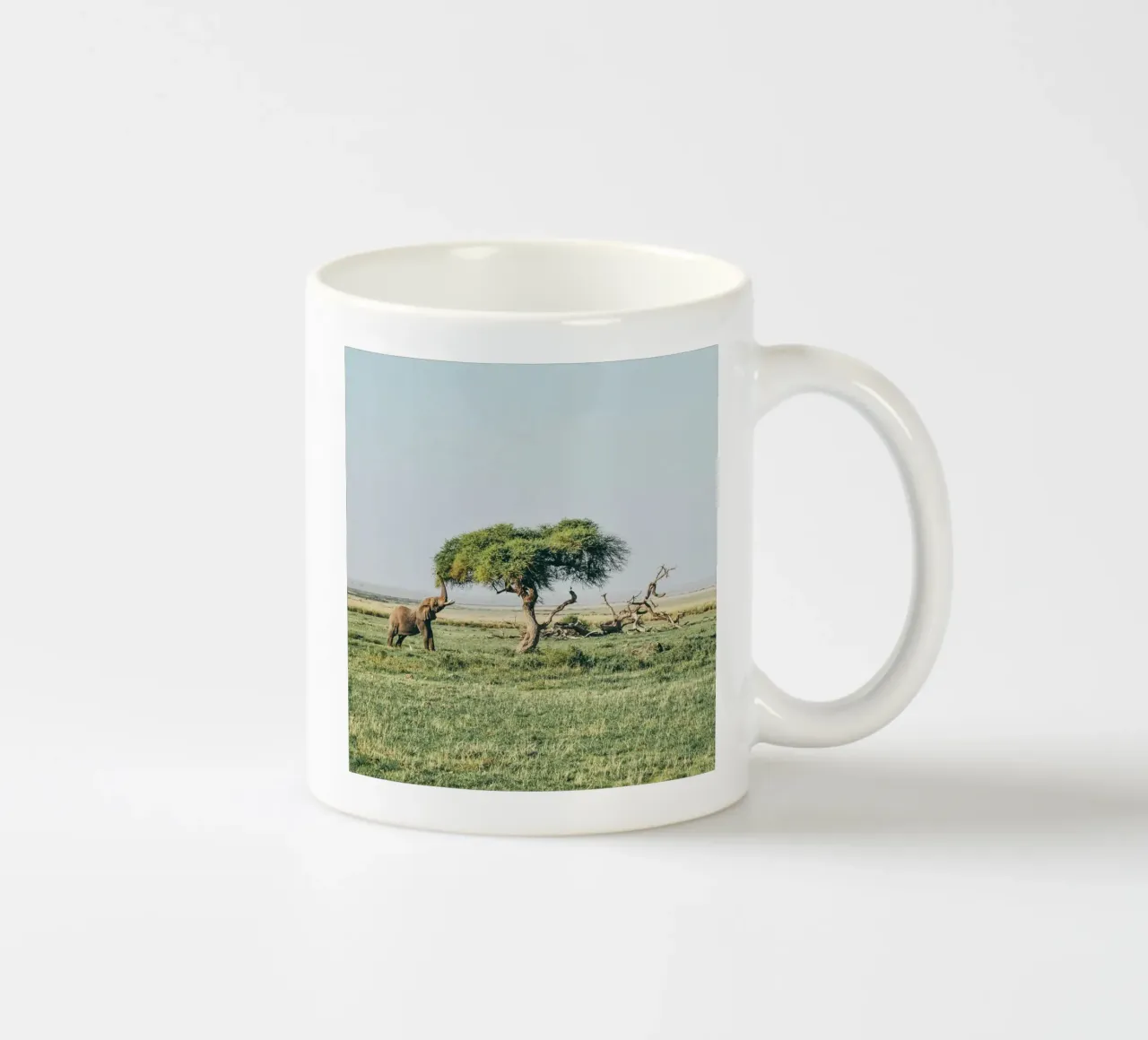 open field greenery tazza in ceramica da Horsire