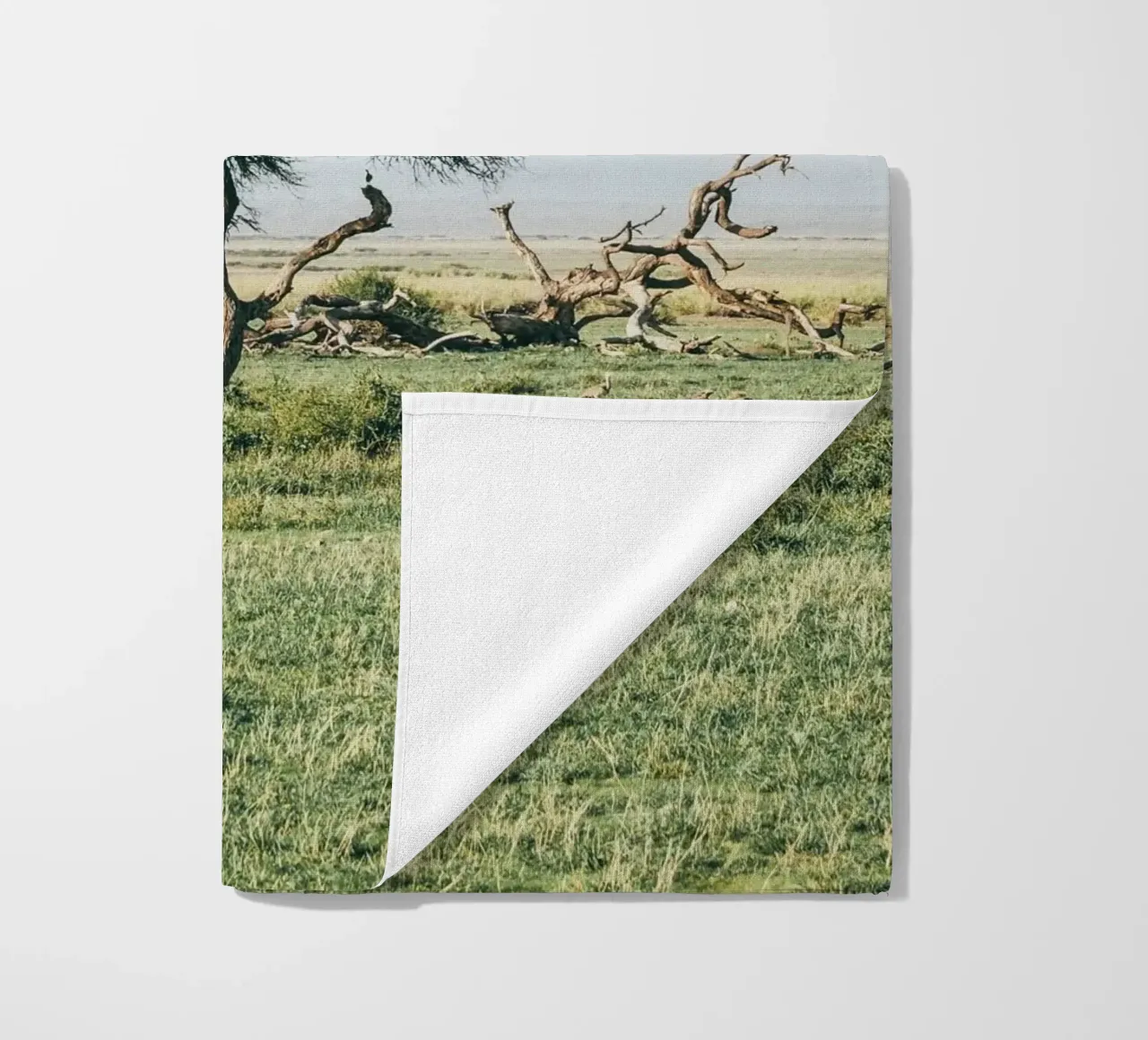 open field greenery telo mare da Horsire