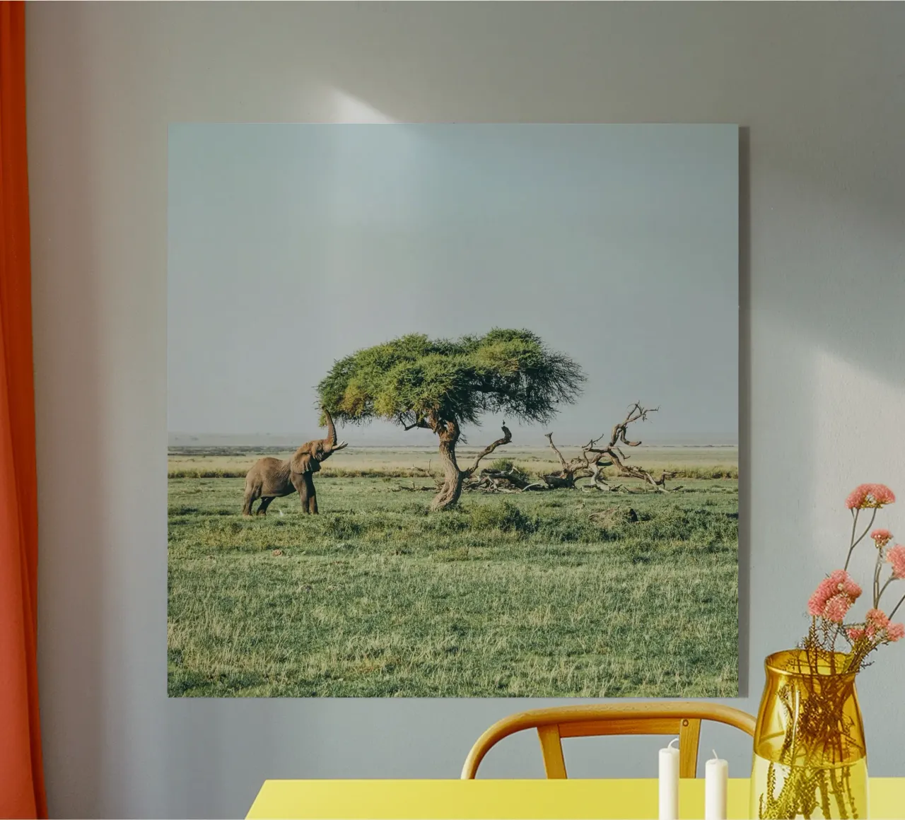 open field greenery plexiglass da Horsire