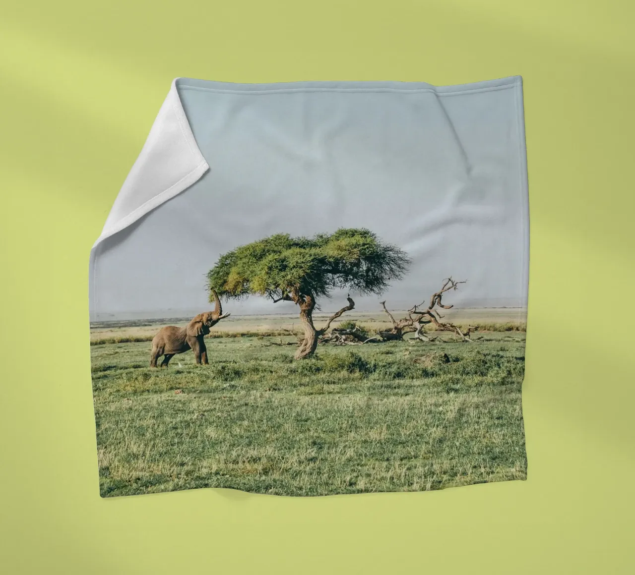 open field greenery coperta in pile da Horsire