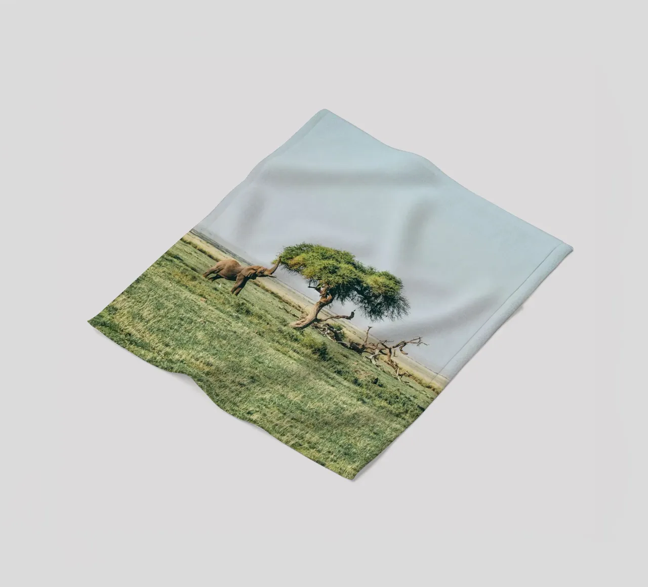 open field greenery coperta in pile da Horsire