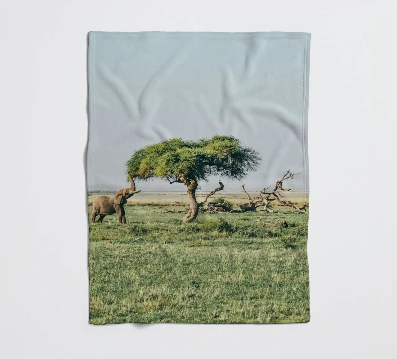 open field greenery coperta in pile da Horsire