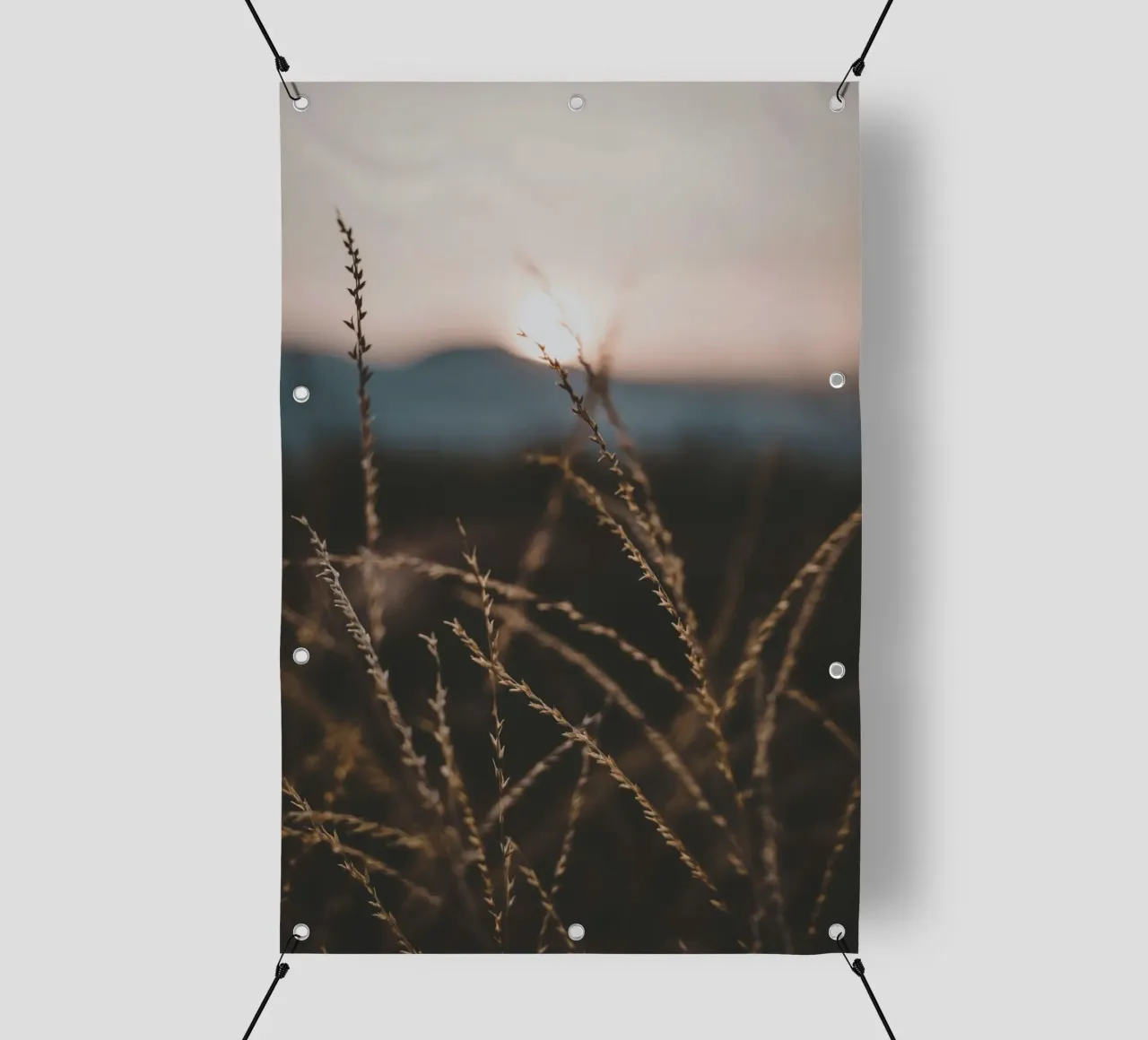 background wild pvc cover by cofa home
