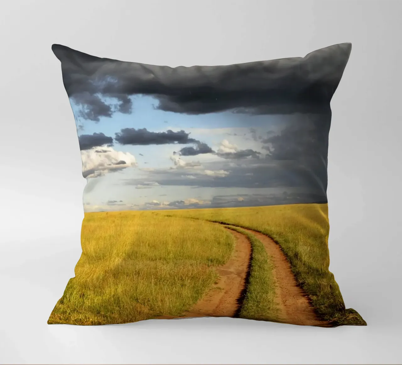 storm clouds savanna coussin de animal story home