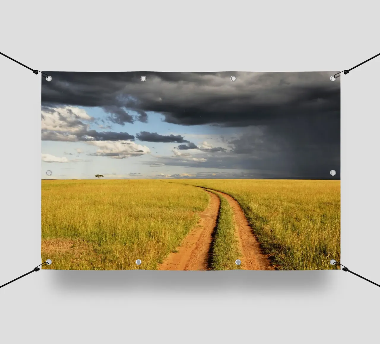 storm clouds savanna telo in pvc da animal story home