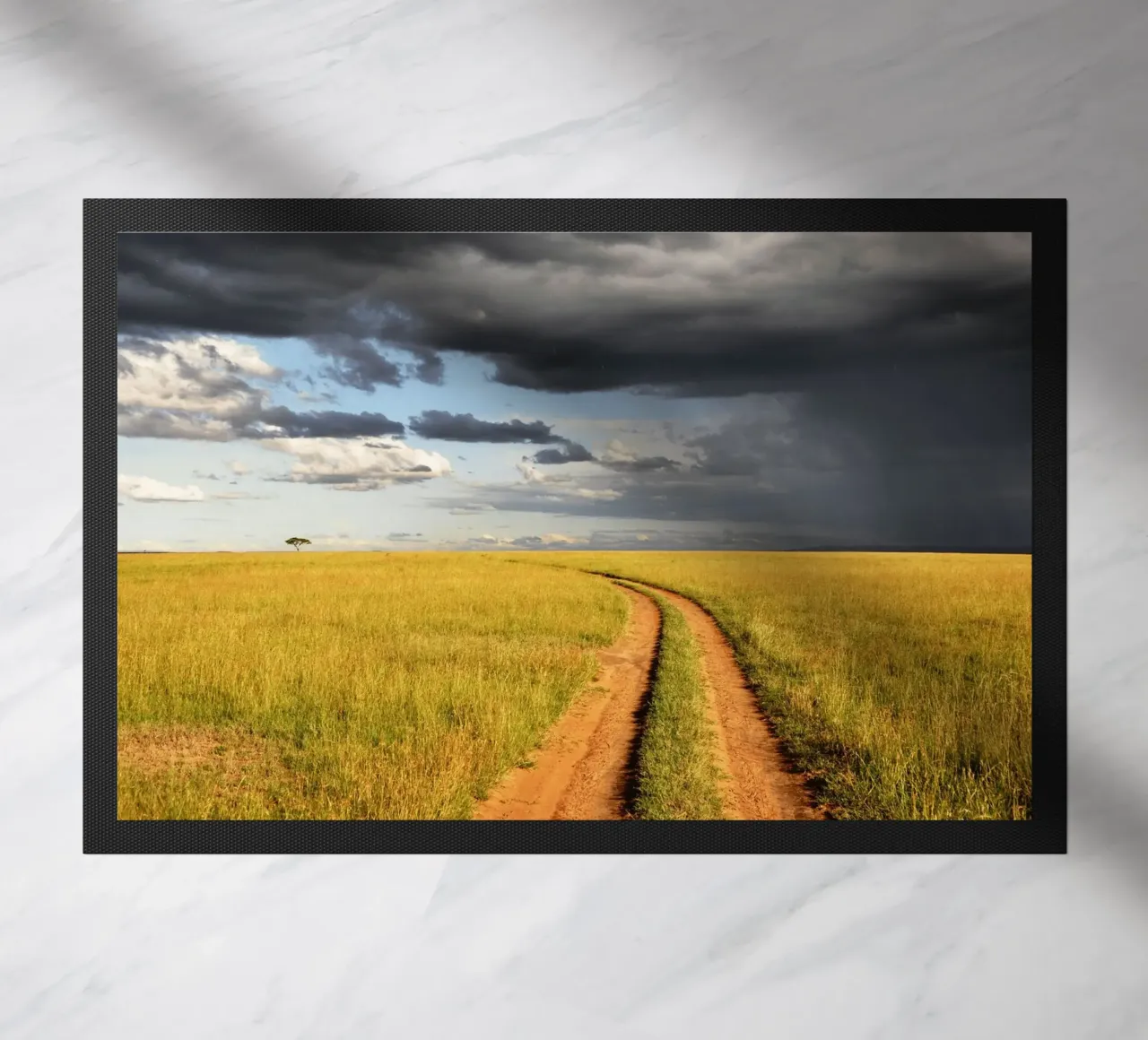 storm clouds savanna zerbino da animal story home