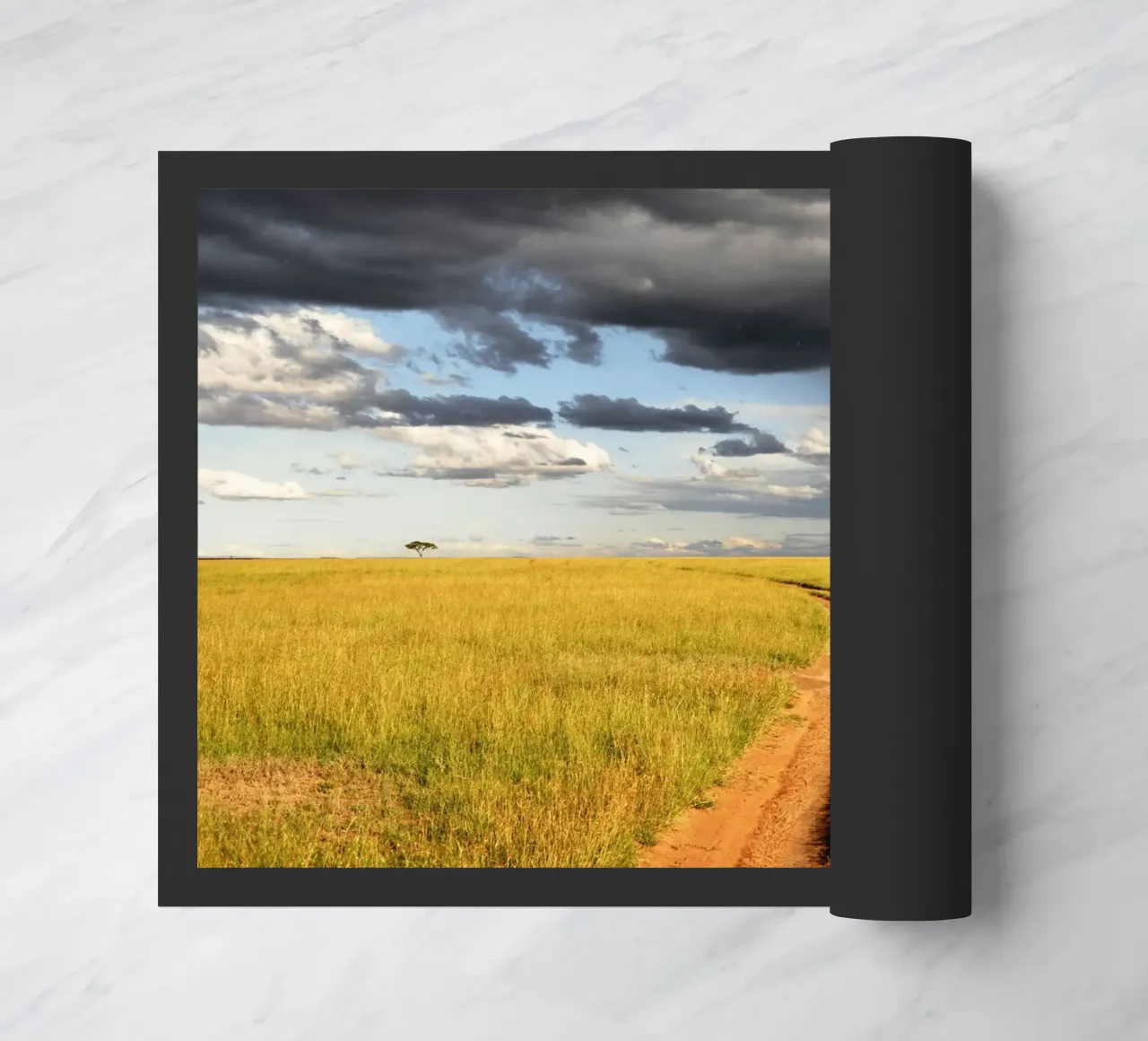 storm clouds savanna zerbino da animal story home