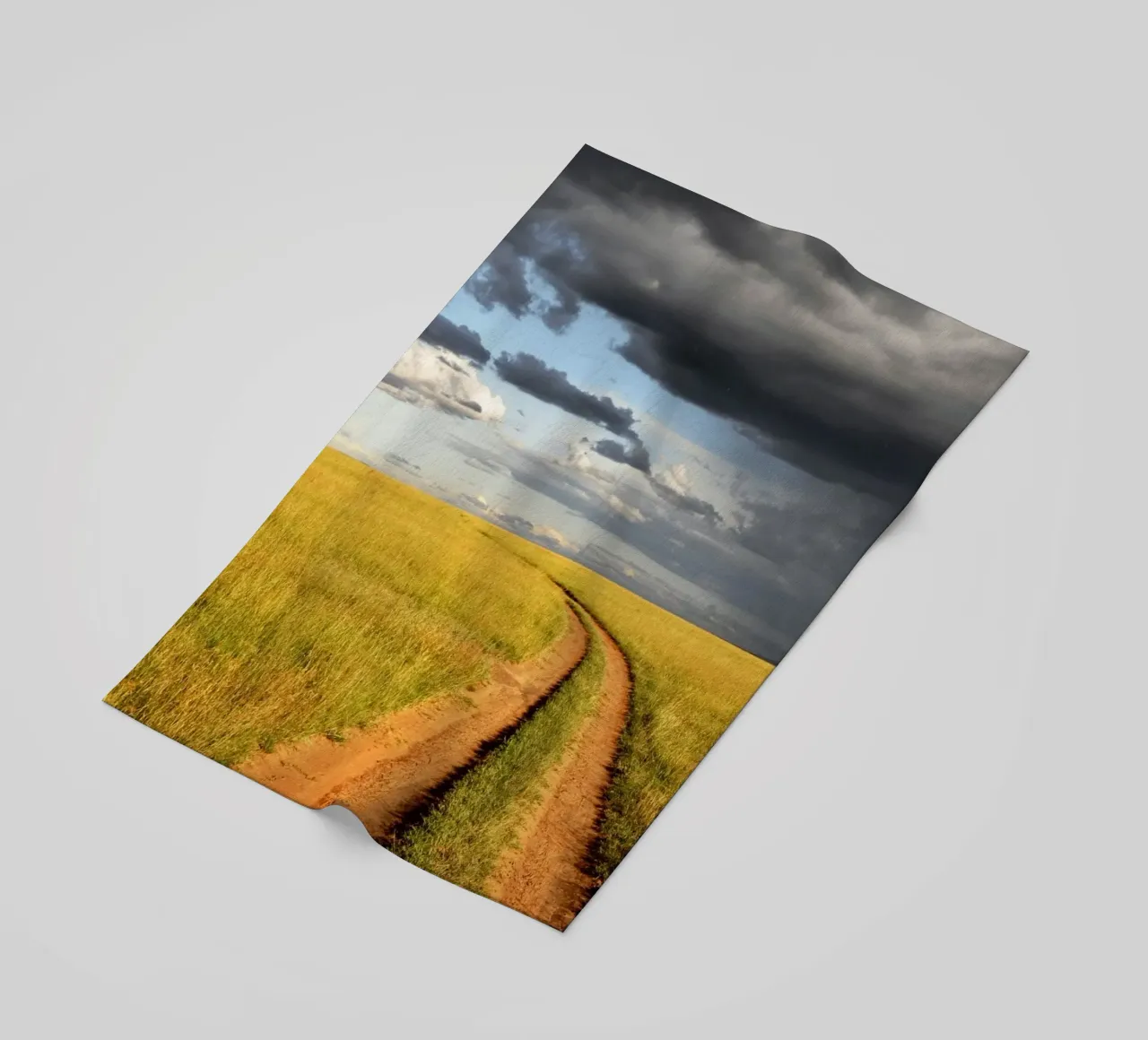 storm clouds savanna beach towel by animal story home