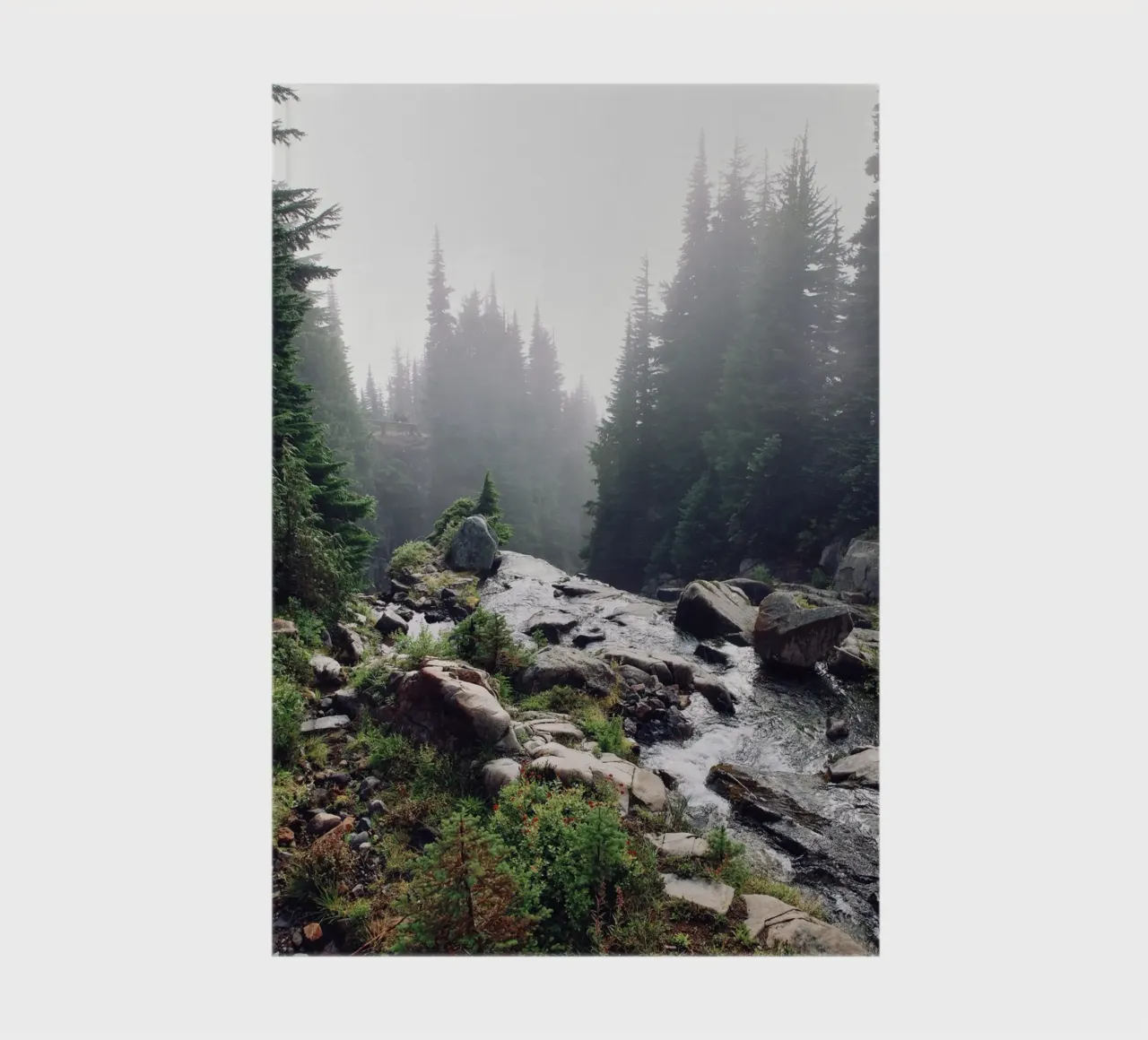 water flow nature notebook by animal story home