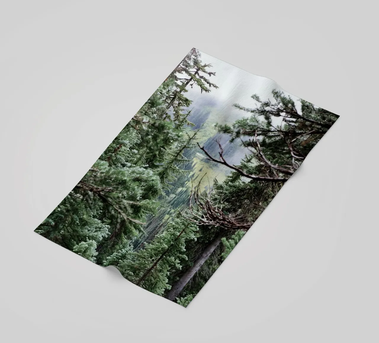 dense foliage fog telo mare da animal story home