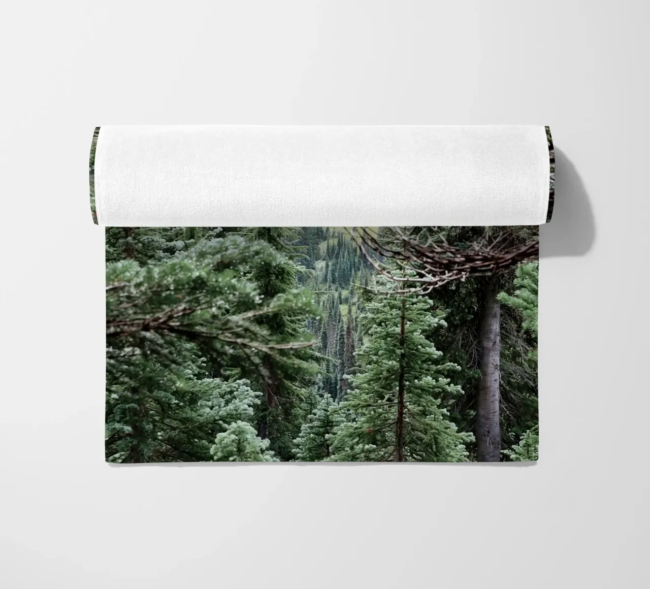 dense foliage fog telo mare da animal story home