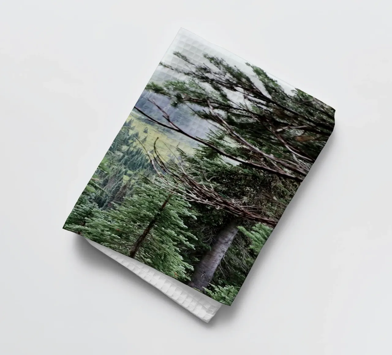 dense foliage fog canovaccio da cucina da animal story home