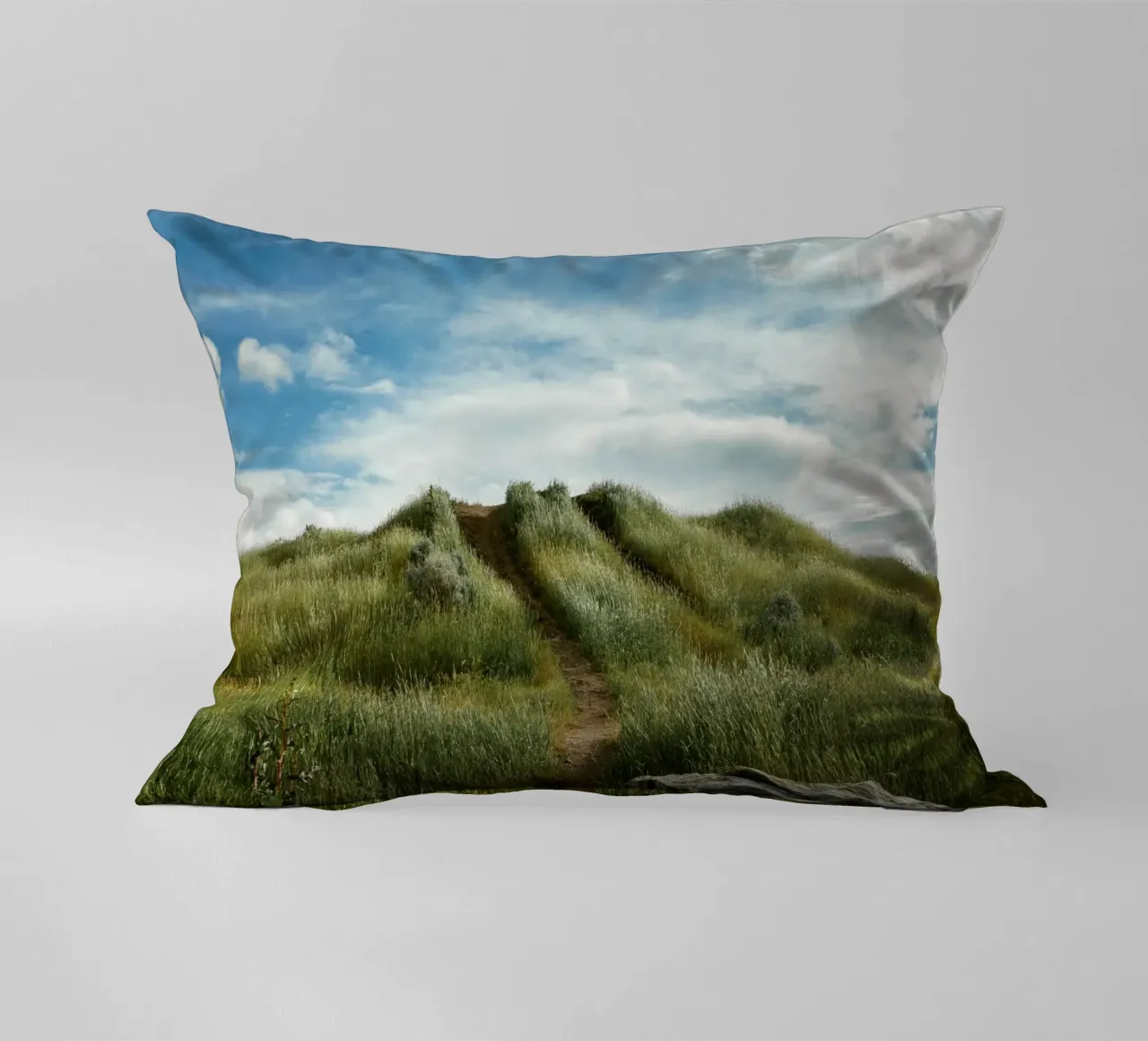 hiking path meadow field cuscino da animal story home