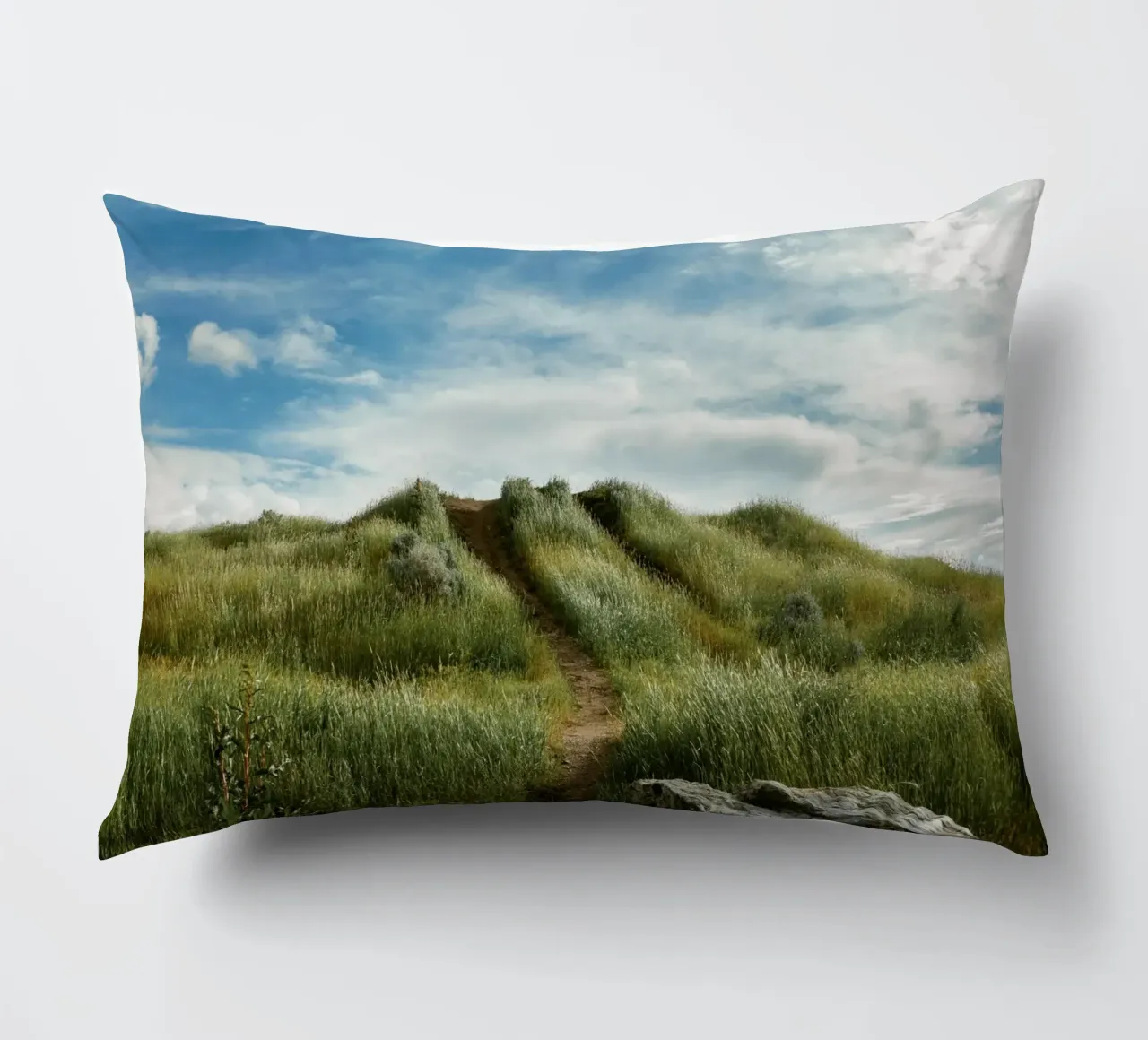 hiking path meadow field cuscino da animal story home