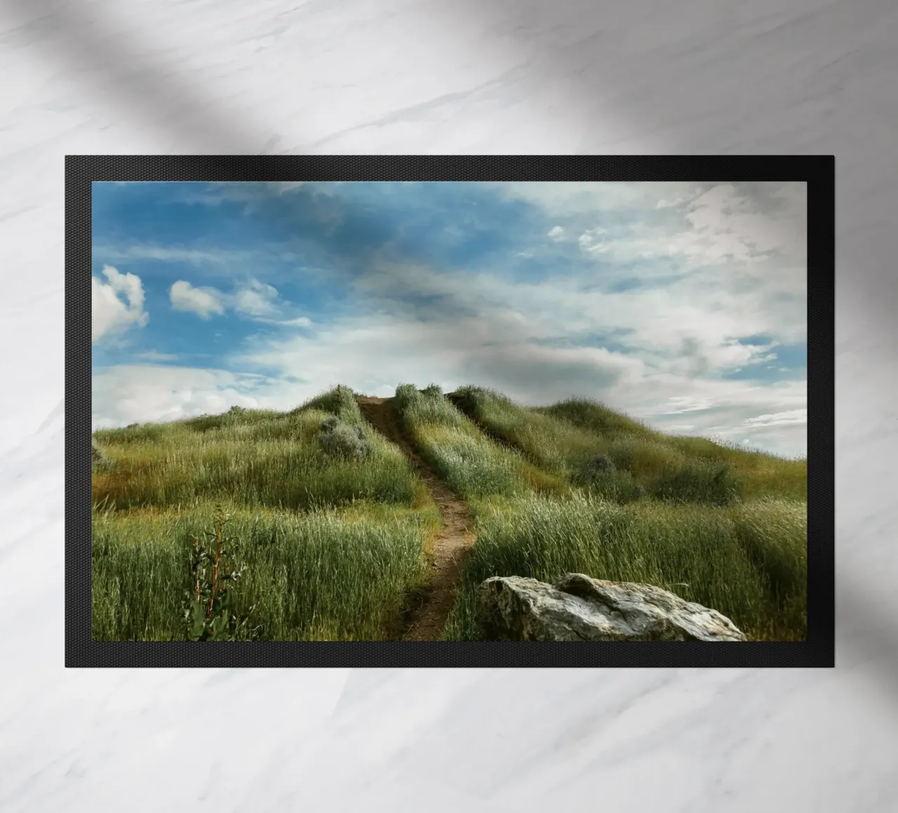 hiking path meadow field zerbino da animal story home