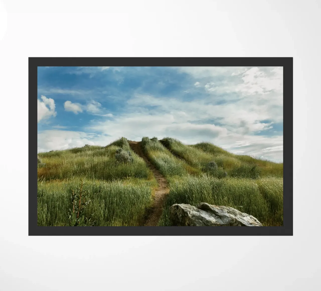 hiking path meadow field zerbino da animal story home