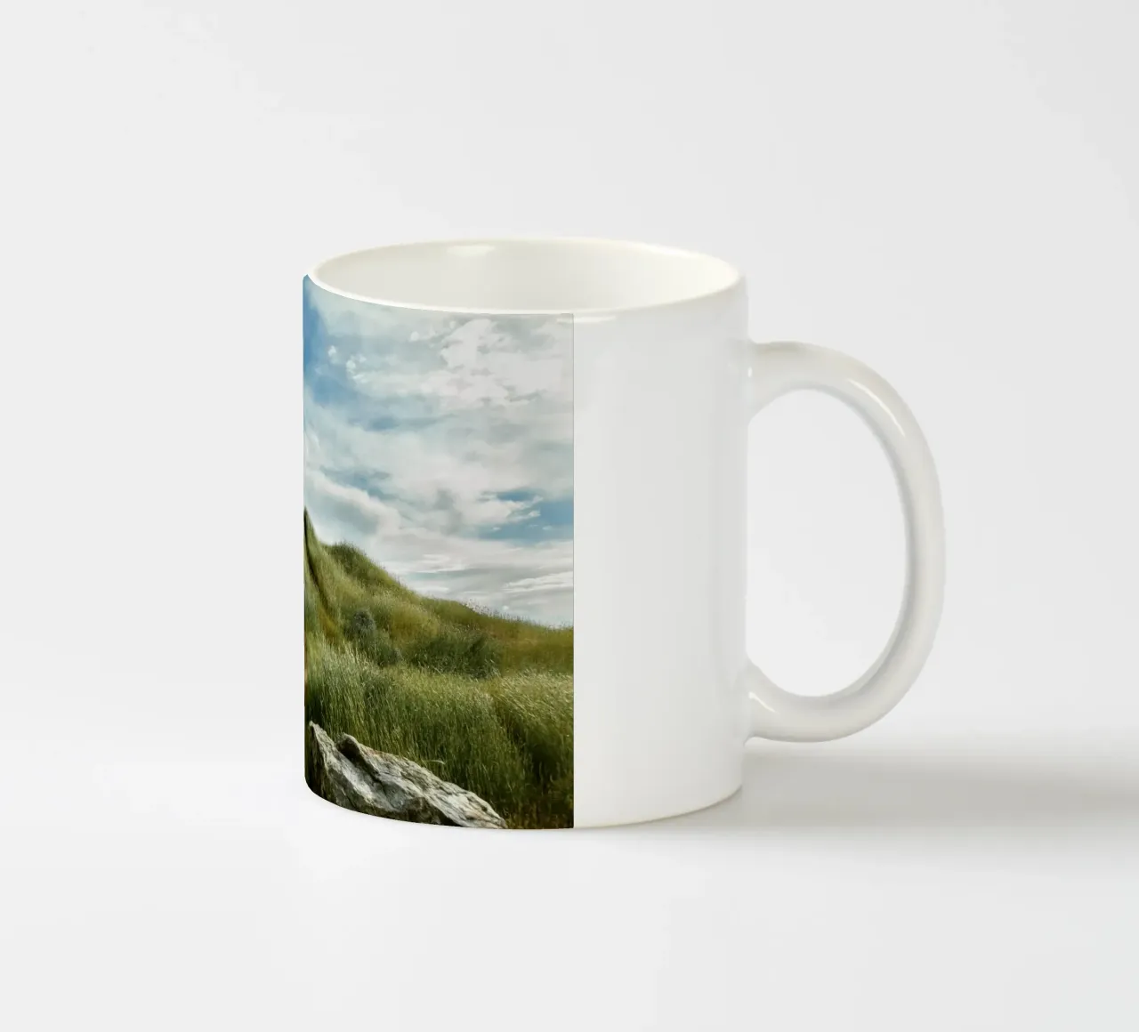hiking path meadow field tazza in ceramica da animal story home