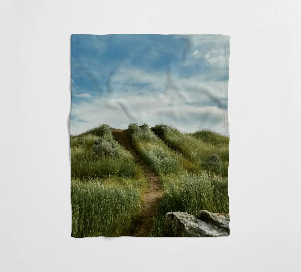 hiking path meadow field coperta in pile da animal story home