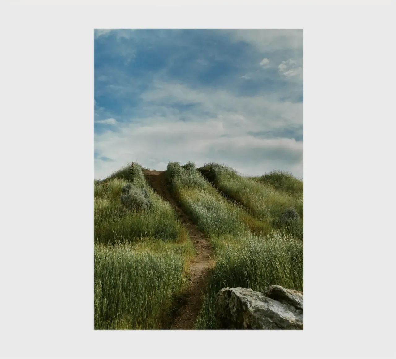 hiking path meadow field notebook by animal story home