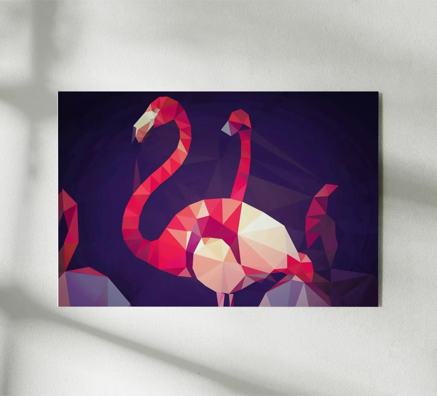 Phoenicopterus roseus plexiglass da Matěj Kašpar Jirásek