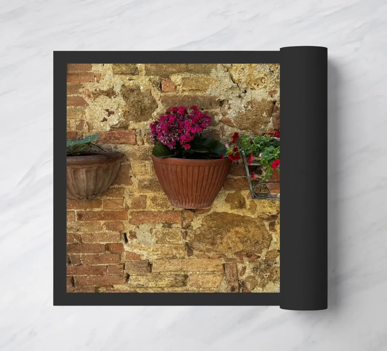 Easy Live zerbino da ChiasMata CozMos