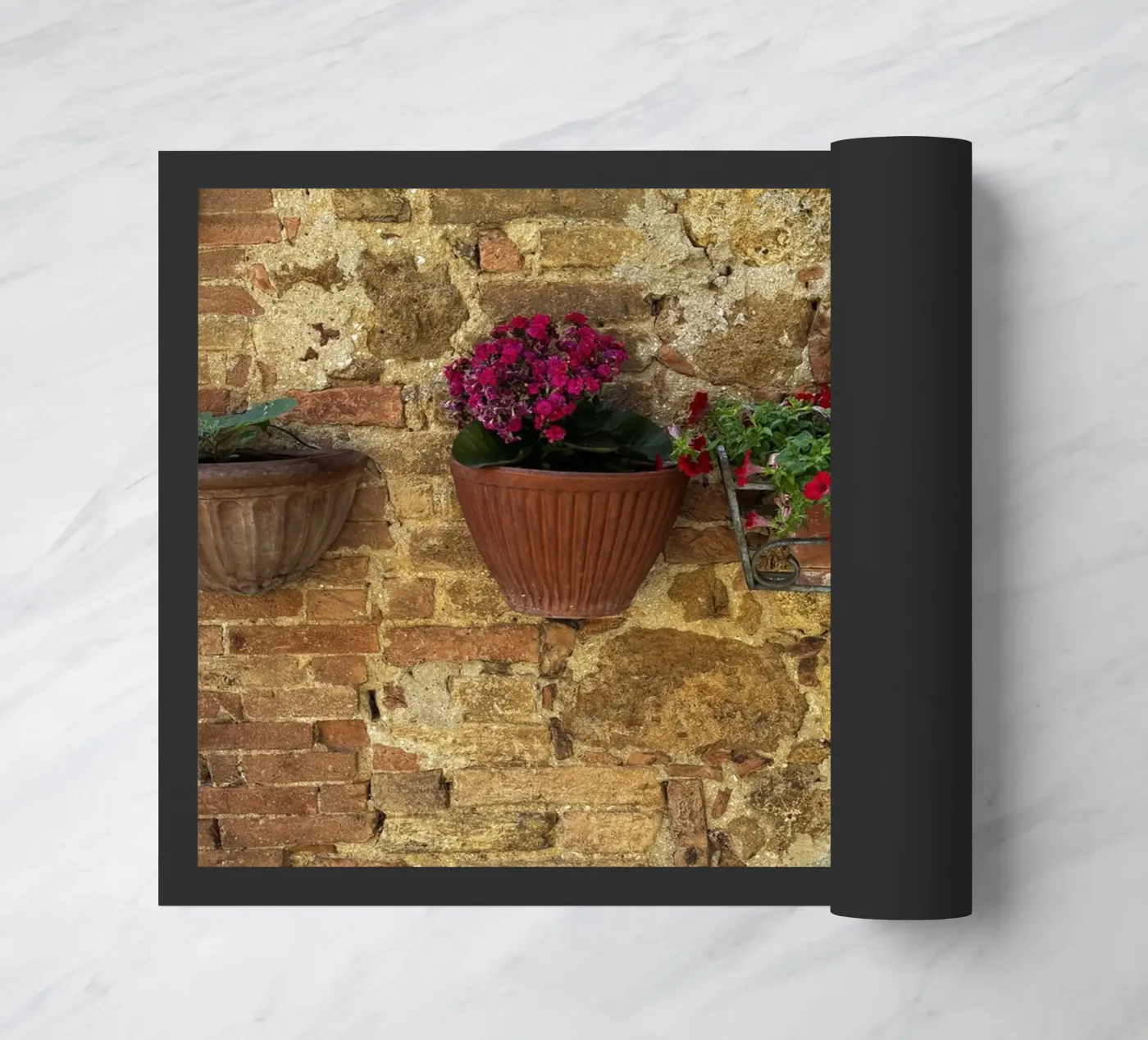 Easy Live zerbino da ChiasMata CozMos