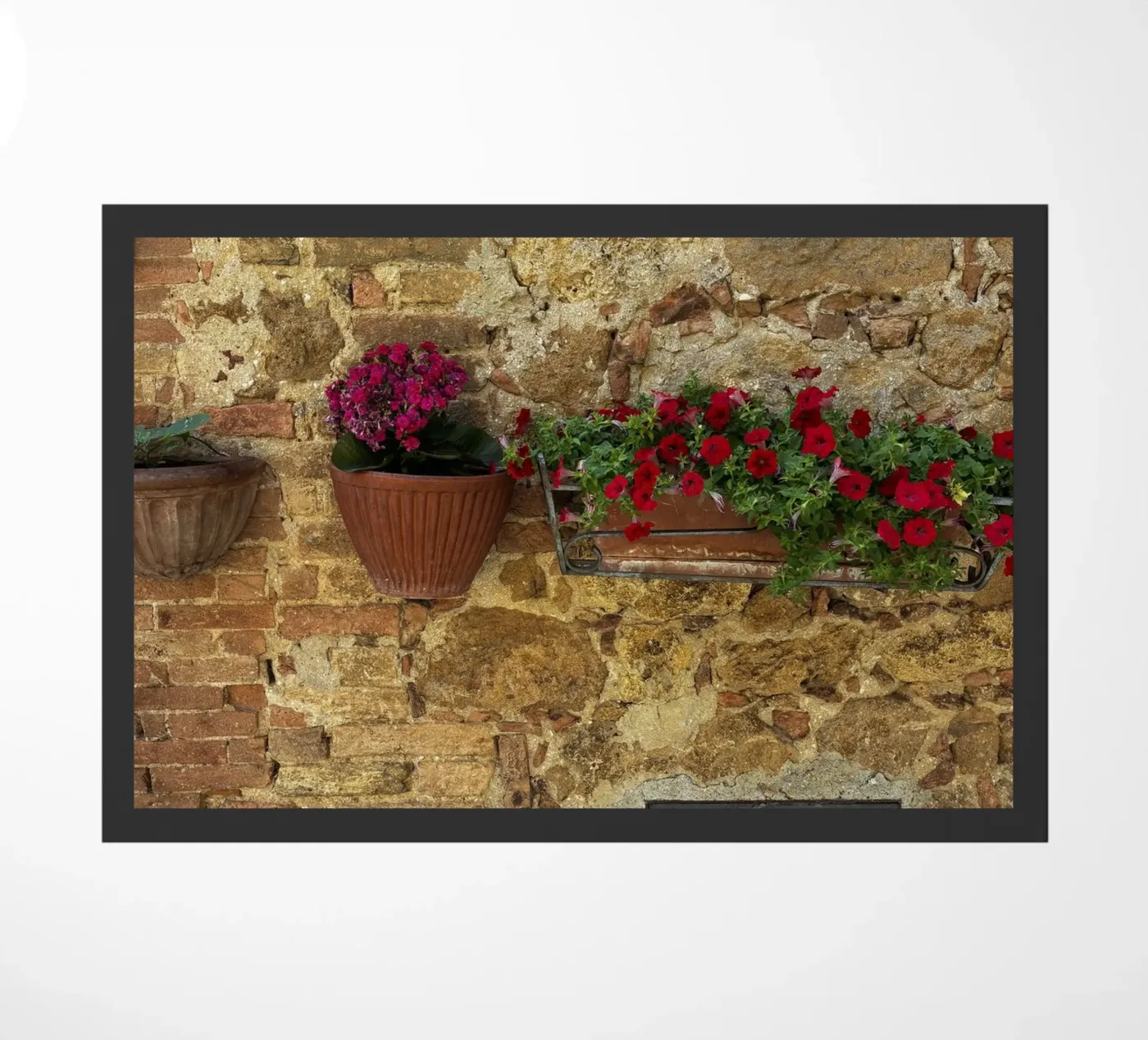 Easy Live zerbino da ChiasMata CozMos