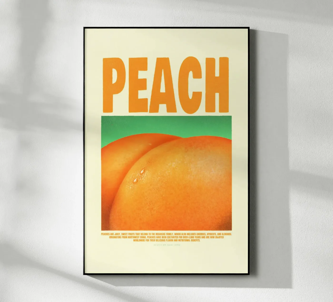 Pesca plexiglass da Jonas Loose