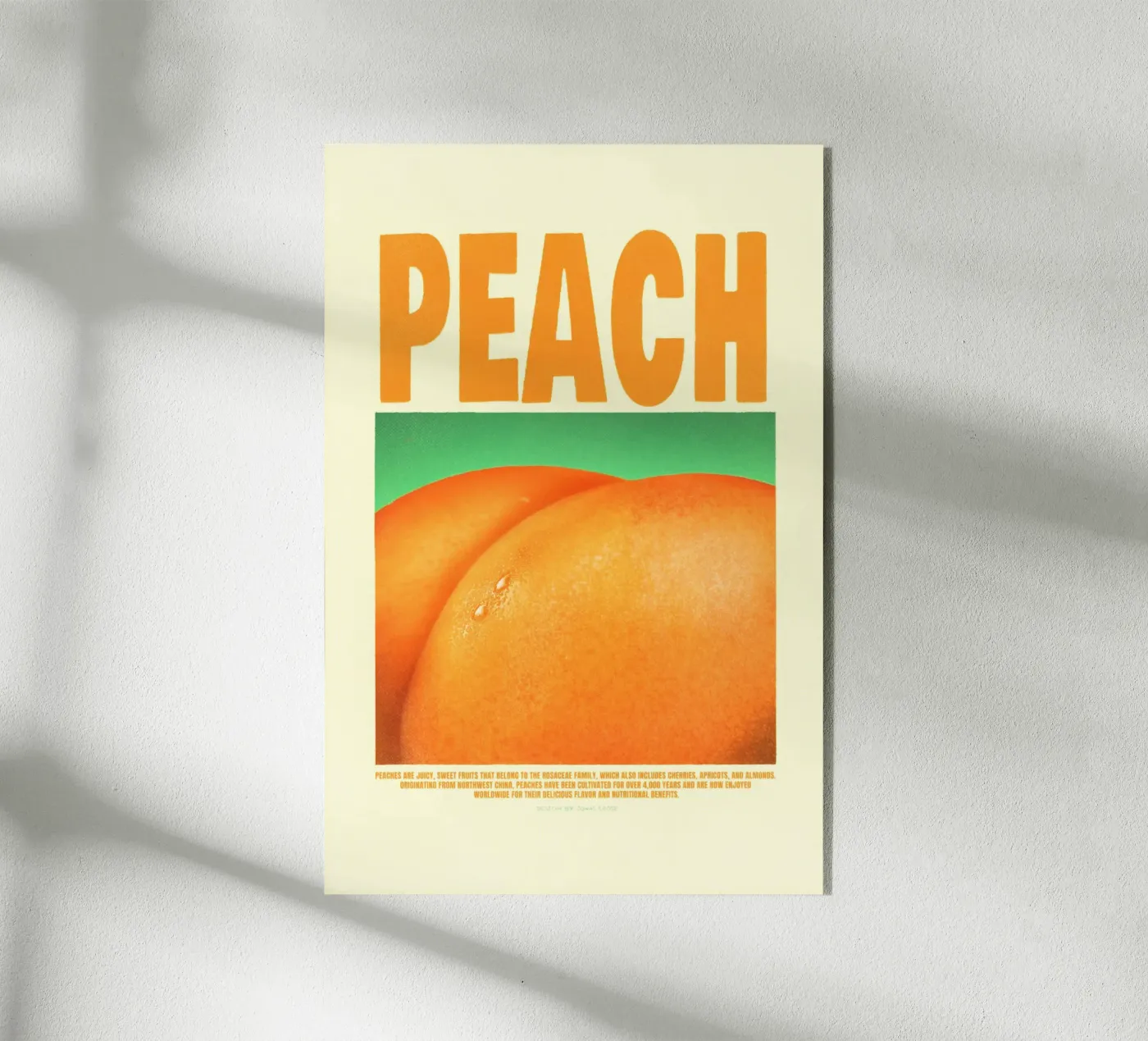 Pesca plexiglass da Jonas Loose