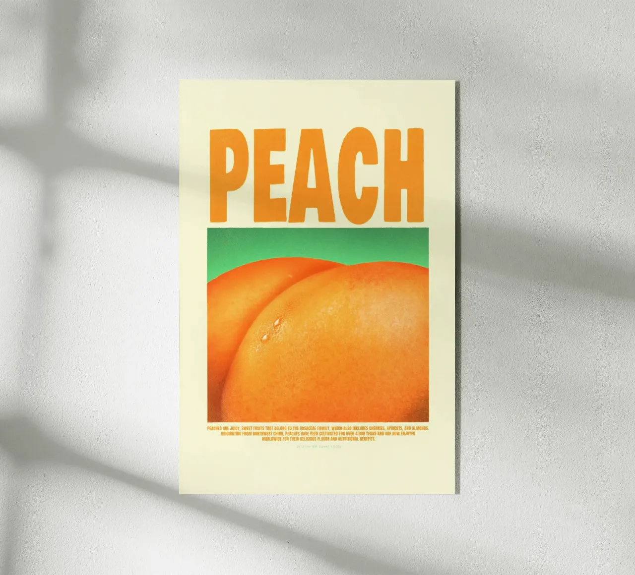 Pesca plexiglass da Jonas Loose